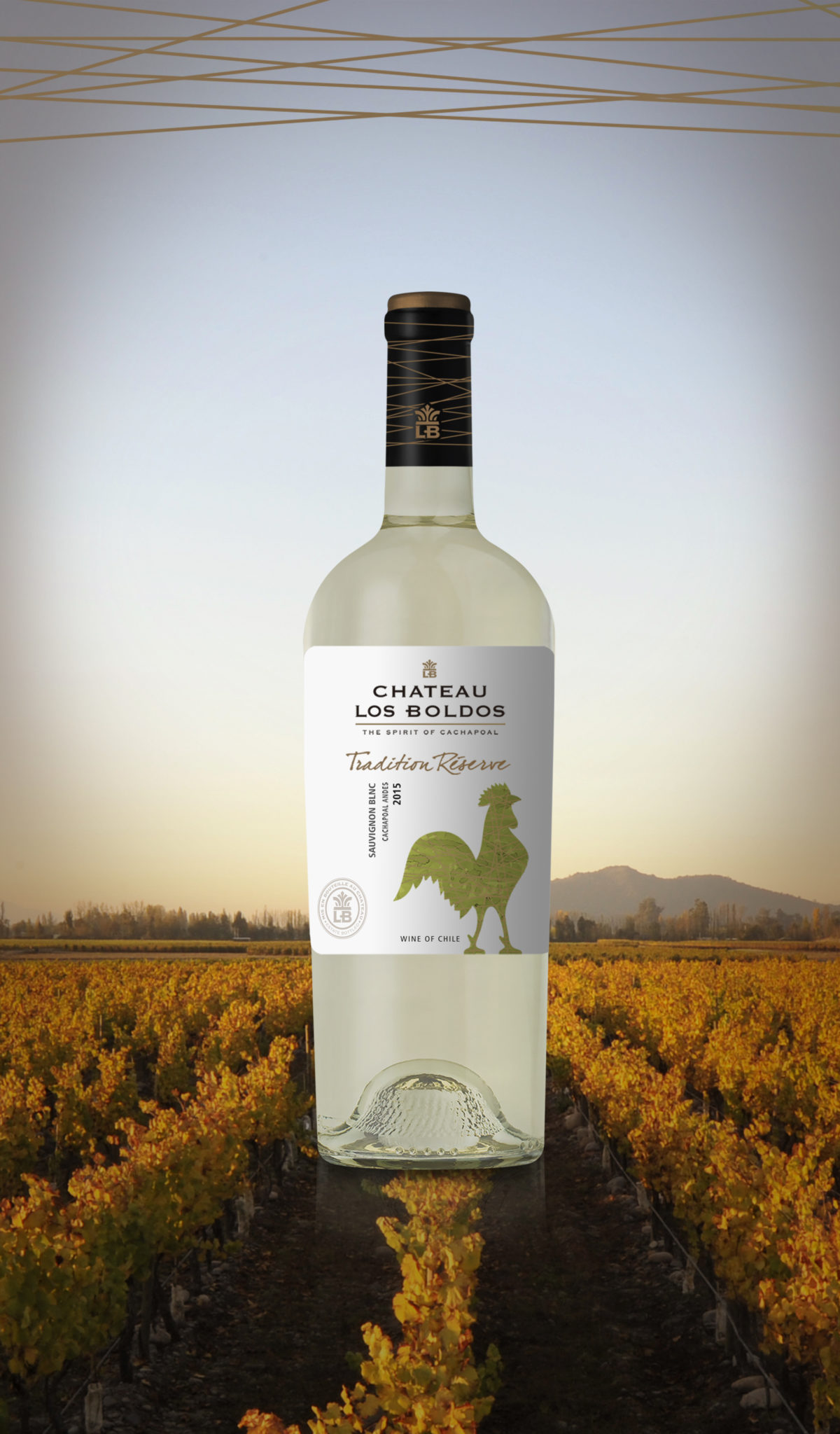 Sauvignon Blanc