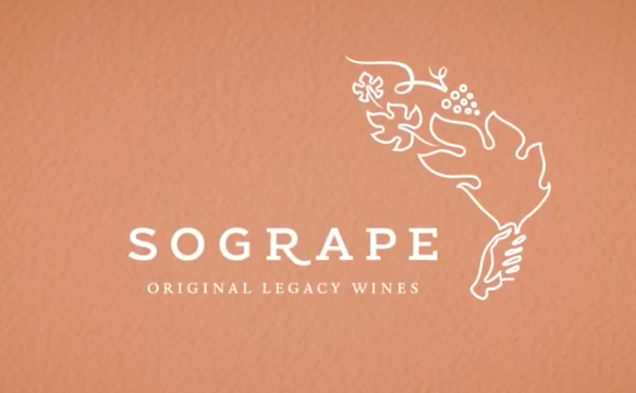 Sogrape 75th Anniversary